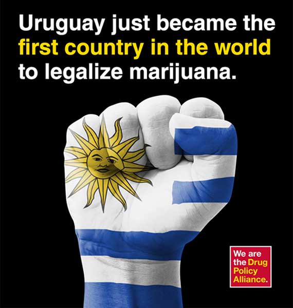 Uruguary Legalizes Marijuana